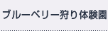 ブルーベリー狩り体験園