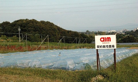 有機無農薬契約農園