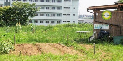 体験農園マイファーム