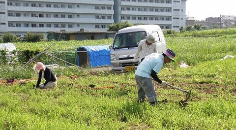 体験農園マイファーム
